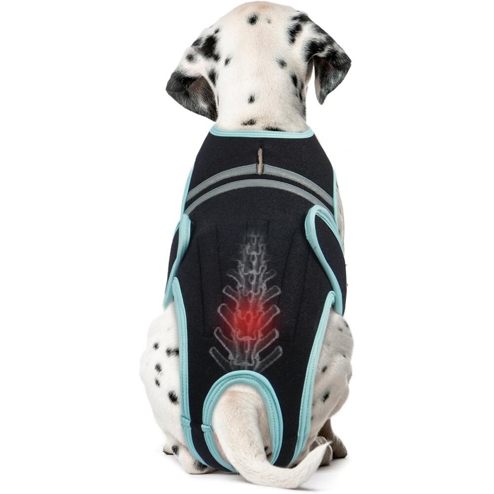 Dog Back Brace Post-Operative Surgical Recovery Rehab Spine Support‎ Pain Relief